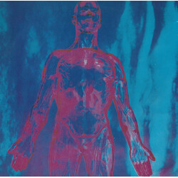 Nirvana Sliver Vinyl USED