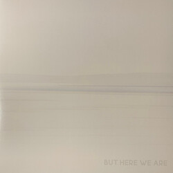 Foo Fighters But Here We Are Vinyl LP USED