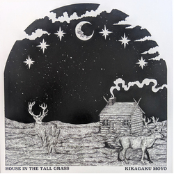 Kikagaku Moyo House In The Tall Grass Vinyl LP USED