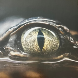 Joji Glimpse Of Us USED VINYL 12INCH 45 RPM SINGLE SIDED SINGLE ETCHED LIMITED EDITION