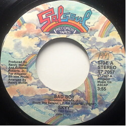 Skyy Bad Boy USED VINYL 7INCH STEREO