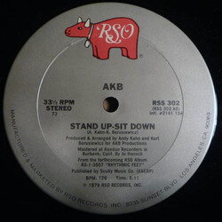 AKB Stand Up - Sit Down VINYL 12" USED