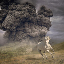 The White Buffalo Year of the Dark Horse Vinyl LP USED