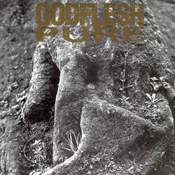 Godflesh Pure Vinyl LP USED