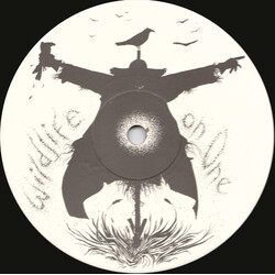 Holy Ghost Inc. Wildlife On One VINYL 12" USED