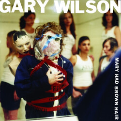Gary Wilson Mary Had Brown Hair Vinyl LP USED