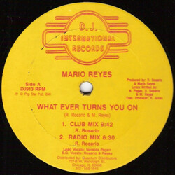 Mario Reyes What Ever Turns You On USED VINYL 12INCH 33 S RPM