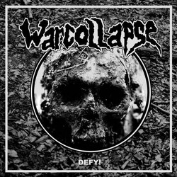 Warcollapse Defy! Vinyl LP USED