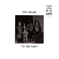 Tony Molina In The Fade Vinyl LP USED