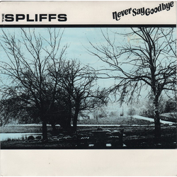 The Spliffs Never Say Goodbye Vinyl 7" USED