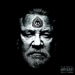 Da Flyy Hooligan Ray Winstone Vinyl LP USED
