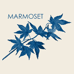 Marmoset Marmoset Vinyl 4 LP Box Set USED