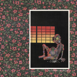 Hijokaidan 蔵六の奇病 Vinyl LP USED