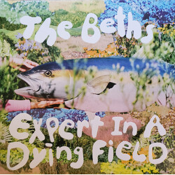 The Beths Expert In A Dying Field Vinyl LP USED