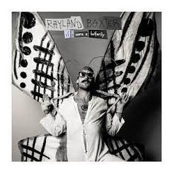 Rayland Baxter If I Were A Butterfly Vinyl LP USED
