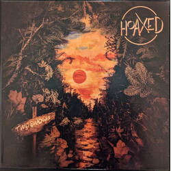 Hoaxed Two Shadows Vinyl LP USED