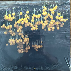 Lav A New Landscape Vinyl LP USED