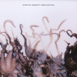 Stephin Merritt Obscurities Vinyl LP USED