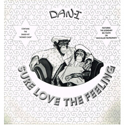 Dan-I Sure Love The Feeling Vinyl LP USED