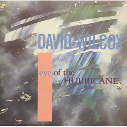 David Wilcox Eye Of The Hurricane USED VINYL 7INCH 45 RPM SINGLE