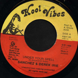 Sanchez / Derrick Irie Under Your Spell Vinyl 7" USED