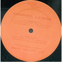 Gabriel Le Mar I Can Give You No Shelter USED VINYL 12INCH