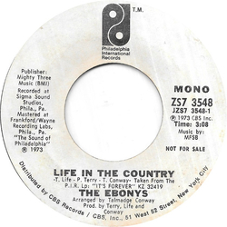The Ebonys Life In The Country Vinyl 7" USED