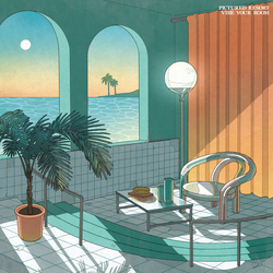 Pictured Resort Vibe Your Room Vinyl 12" USED