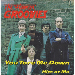 The Flamin' Groovies You Tore Me Down Vinyl 7" USED
