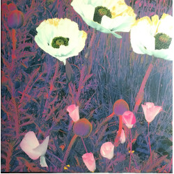 The Green Pajamas Sunlight Might Weigh Even More Vinyl LP USED