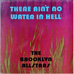The Brooklyn Allstars There Ain't No Water In Hell Vinyl LP USED