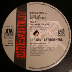 The Neville Brothers Yellow Moon USED VINYL 12INCH 45 RPM SINGLE PROMO