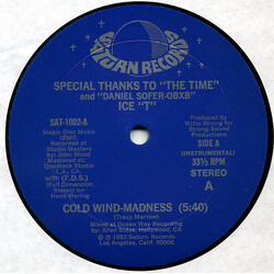 Ice-T Cold Wind-Madness / The Coldest Rap USED VINYL 12INCH 33 S RPM STEREO