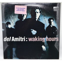 Del Amitri Waking Hours Vinyl LP USED