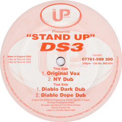 DS3 Stand Up USED VINYL 12INCH