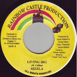 Sizzla Living Big USED VINYL 7INCH 45 RPM