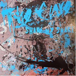 The Cure Shake NY Shake Vinyl LP USED