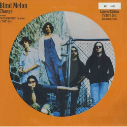Blind Melon Change USED VINYL 12"