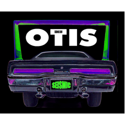 Sons Of Otis Seismic Vinyl LP USED