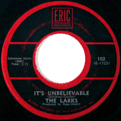 The Larks (5) It's Unbelievable / There Is A Girl Vinyl 7" USED