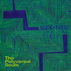 The Polyversal Souls Sad Nile / Mam Pe Ela Su Ure (Instrumental) Vinyl 7" USED