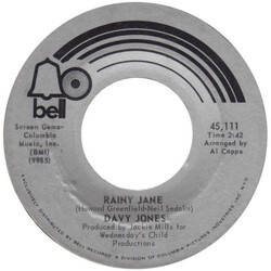 Davy Jones Rainy Jane / Welcome To My Love USED VINYL 7INCH 45 RPM SINGLE STYRENE MONO