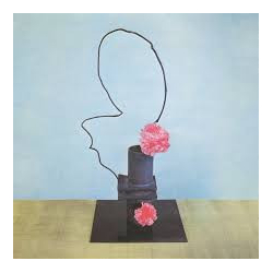 Methyl Ethel Oh Inhuman Spectacle Vinyl LP USED