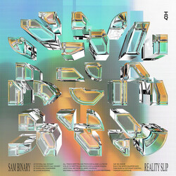 Sam Binary Reality Slip USED VINYL 12INCH 33 S RPM EP