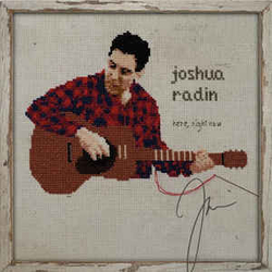 Joshua Radin Here, Right Now Vinyl LP USED