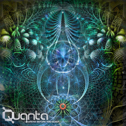 Quanta Dream Before You Sleep Vinyl 12" USED