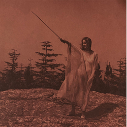 Unknown Mortal Orchestra II Vinyl LP USED