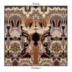 Tunng Turbines Vinyl LP USED