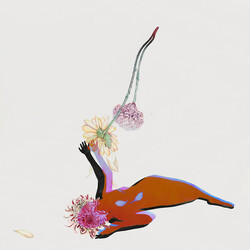 Future Islands The Far Field Vinyl LP USED