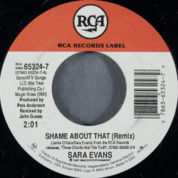 Sara Evans Shame About That Vinyl 7" USED